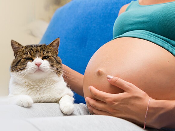 Pregnant woman with cat